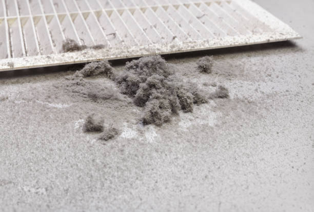 Best HVAC Duct Inspection Services  in Panorama Village, TX