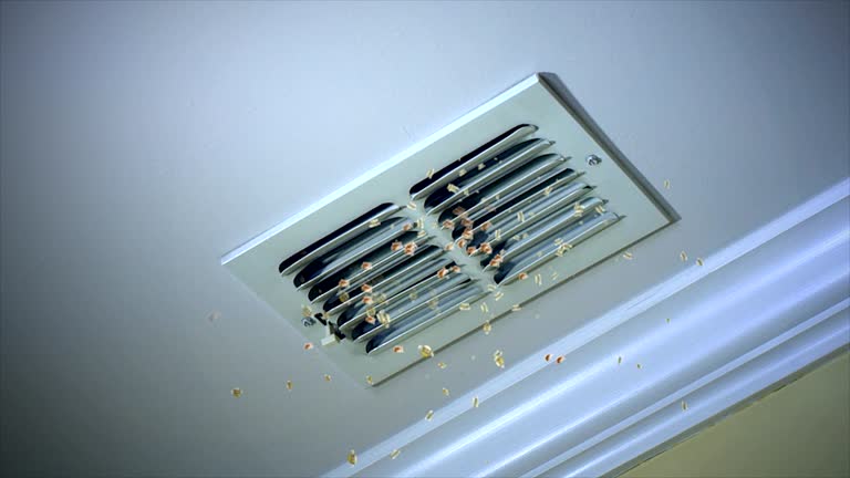 Best Best Air Duct Cleaning Company  in Panorama Village, TX